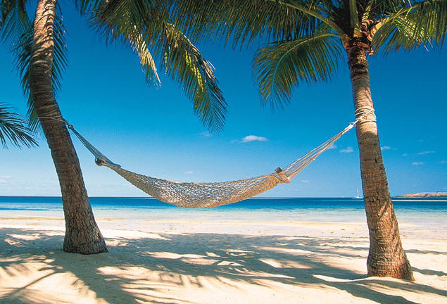 [Image: south-pacific-hammock.jpg]